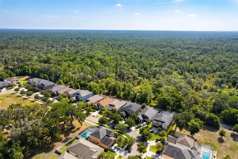 14256 Blue Dasher Drive Riverview FL 33569