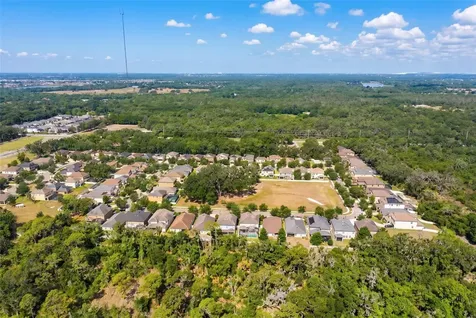14256 Blue Dasher Drive Riverview FL 33569