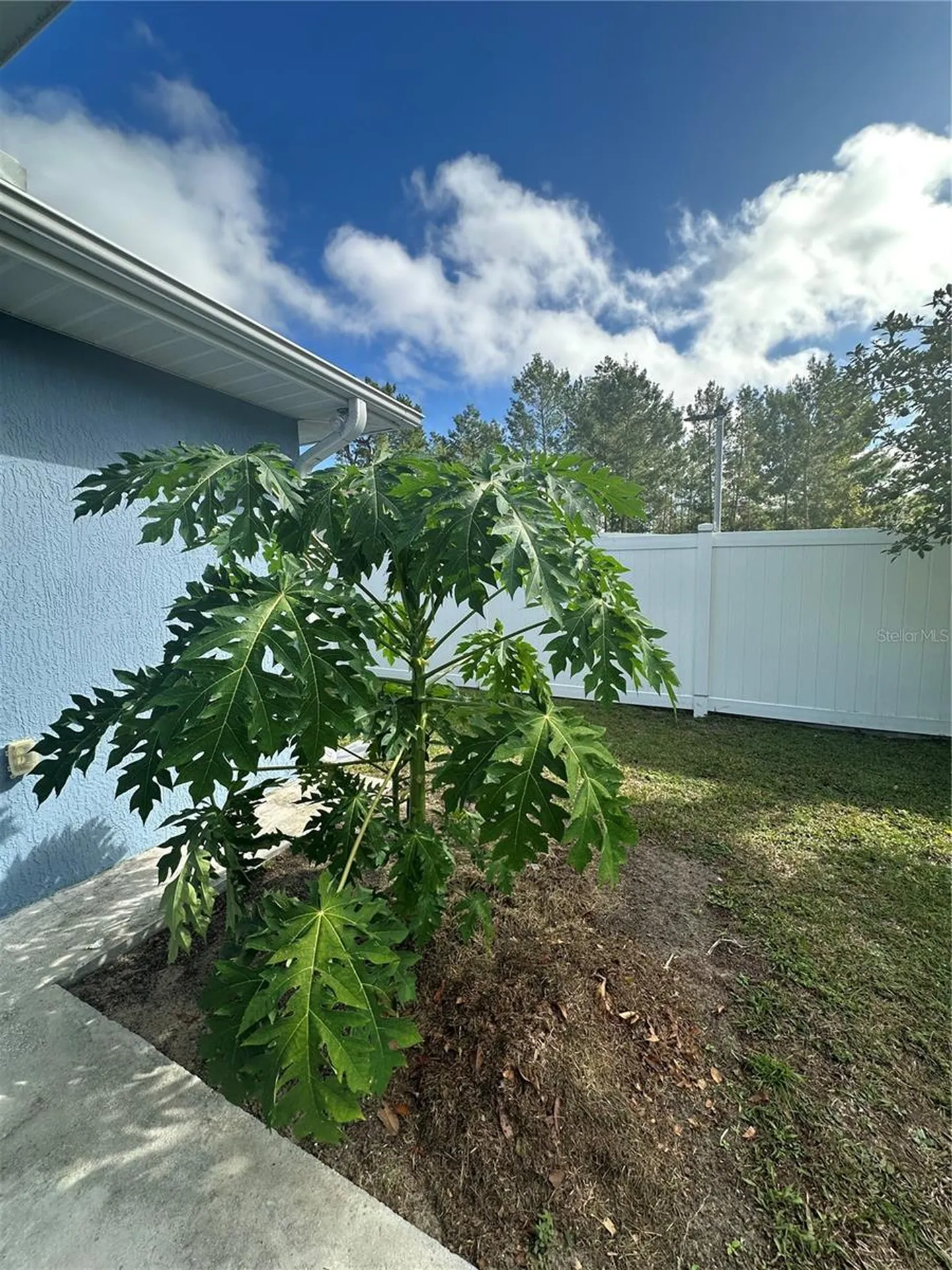 3658 SW 127th Lane Road Ocala FL 34473
