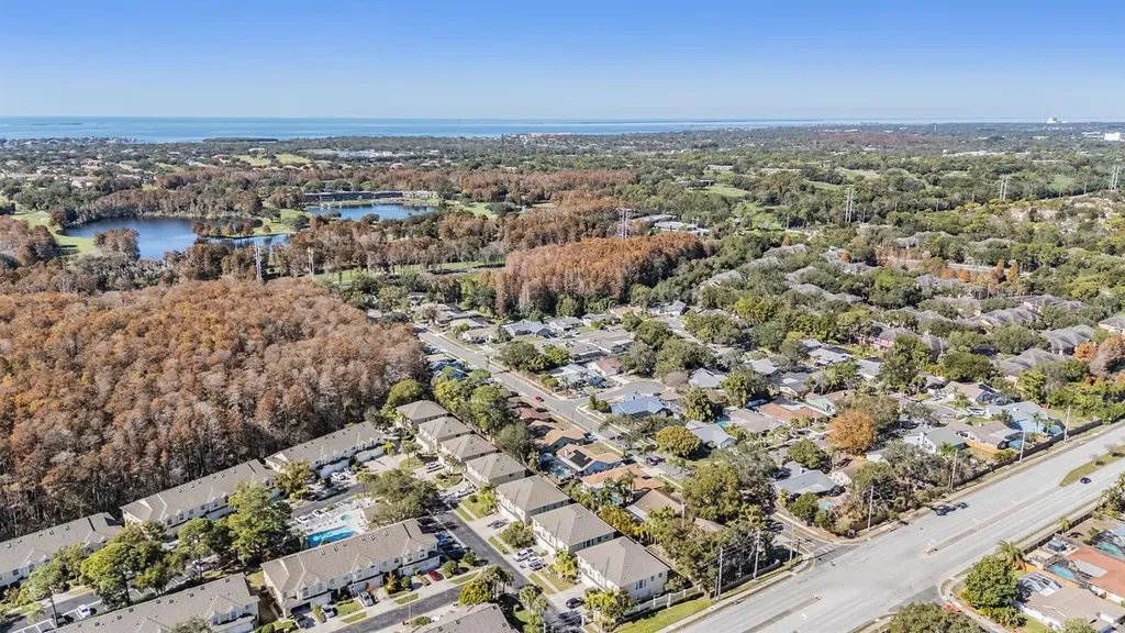 3494 Primrose Way Palm Harbor FL 34683