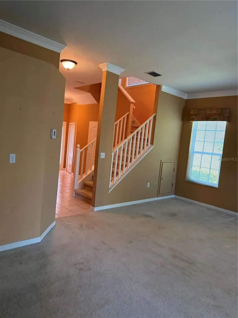 3494 Primrose Way Palm Harbor FL 34683