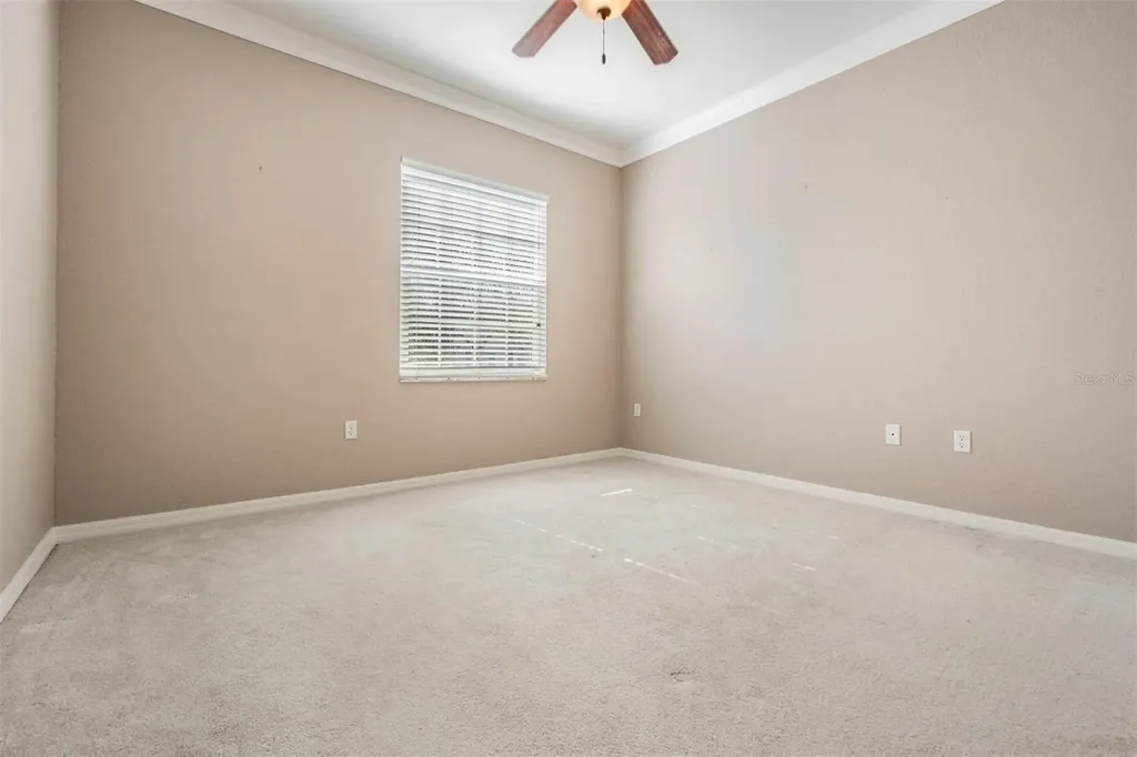 3494 Primrose Way Palm Harbor FL 34683