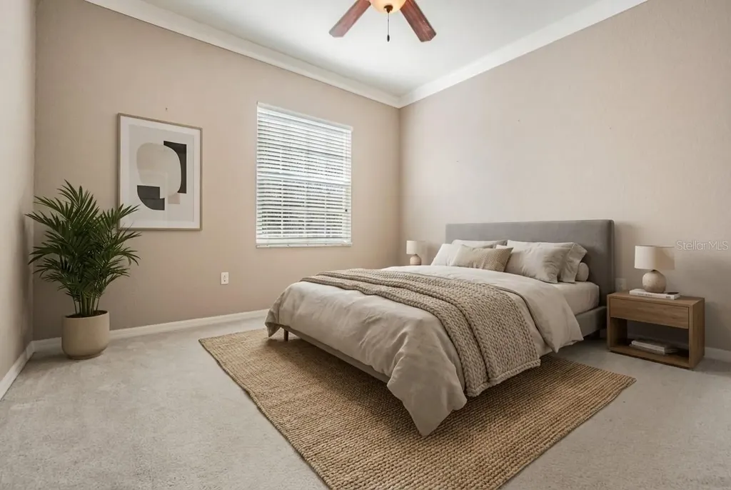 3494 Primrose Way Palm Harbor FL 34683