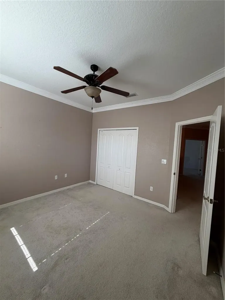 3494 Primrose Way Palm Harbor FL 34683