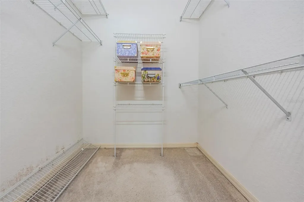 3494 Primrose Way Palm Harbor FL 34683