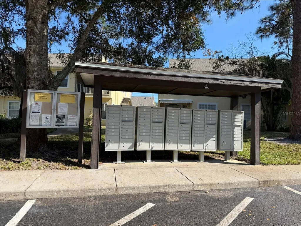 3494 Primrose Way Palm Harbor FL 34683
