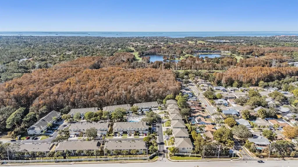 3494 Primrose Way Palm Harbor FL 34683
