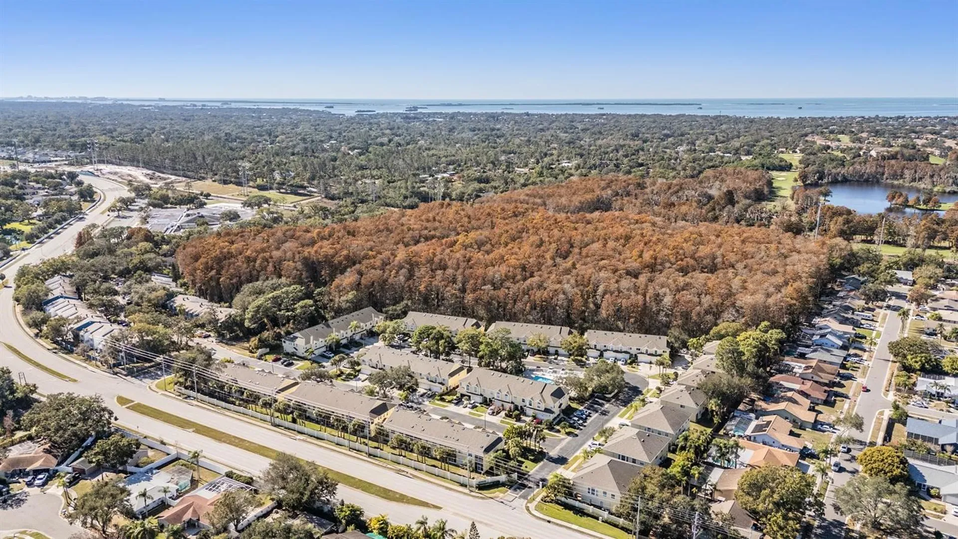 3494 Primrose Way Palm Harbor FL 34683