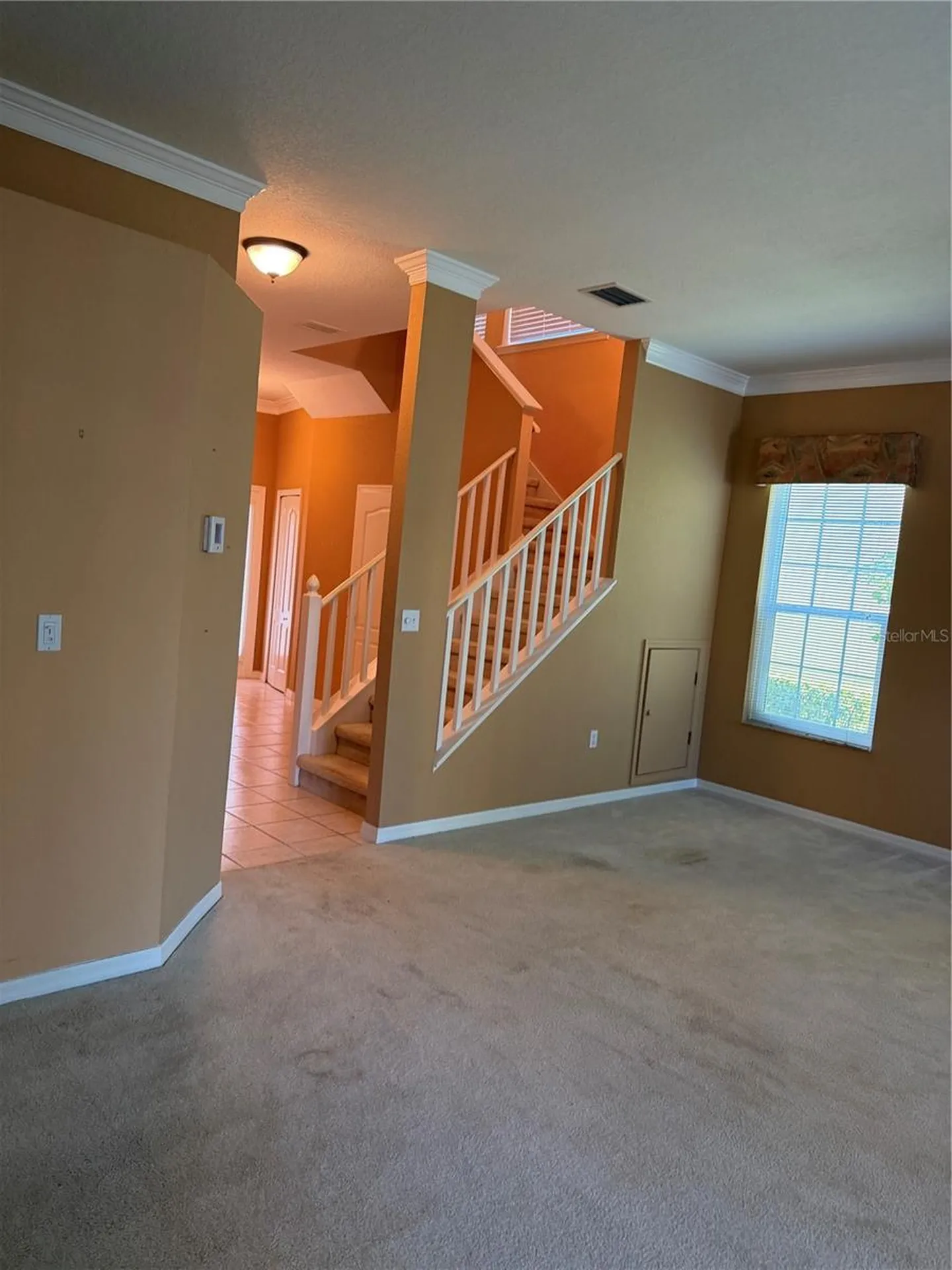 3494 Primrose Way Palm Harbor FL 34683