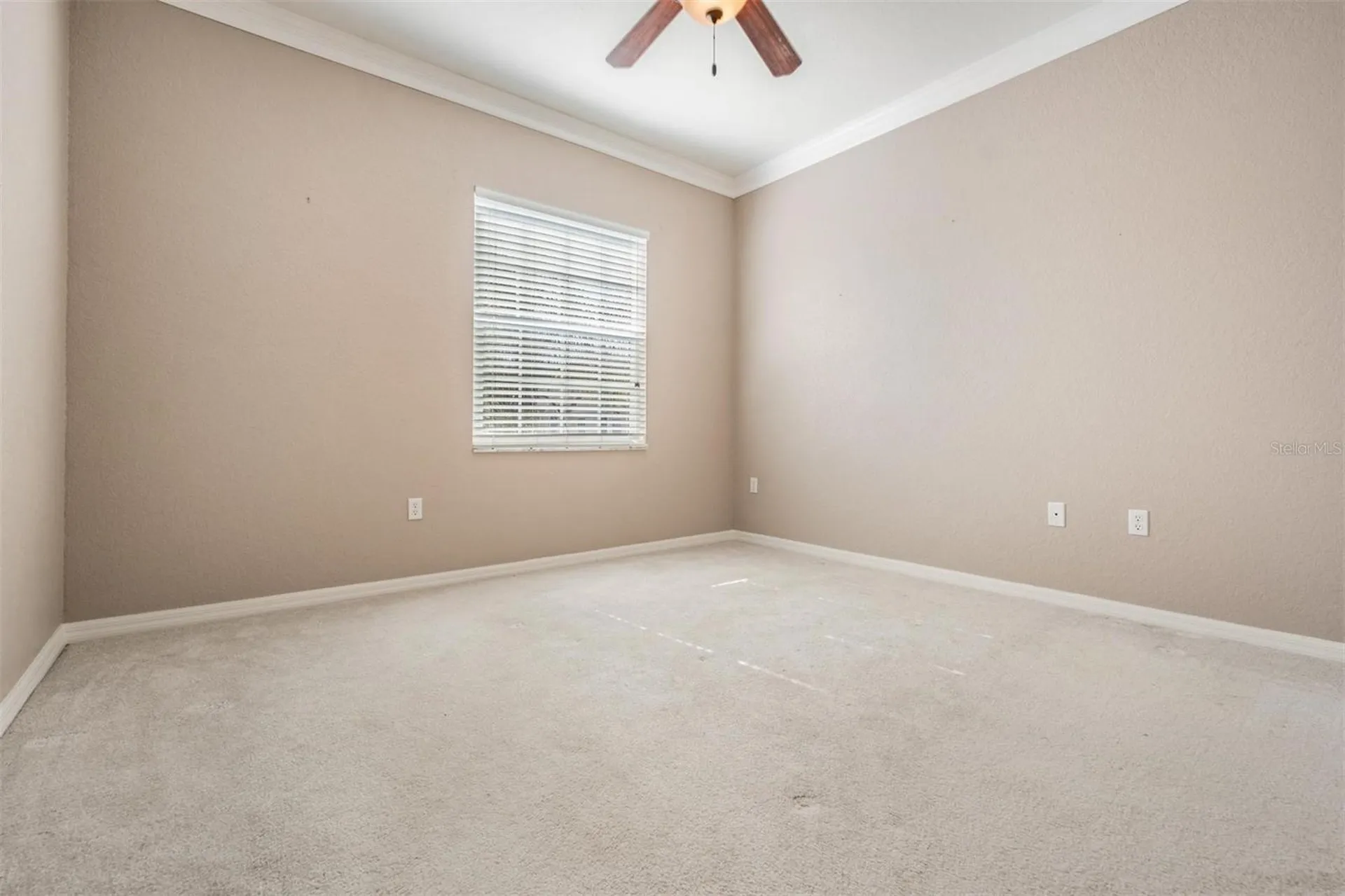 3494 Primrose Way Palm Harbor FL 34683