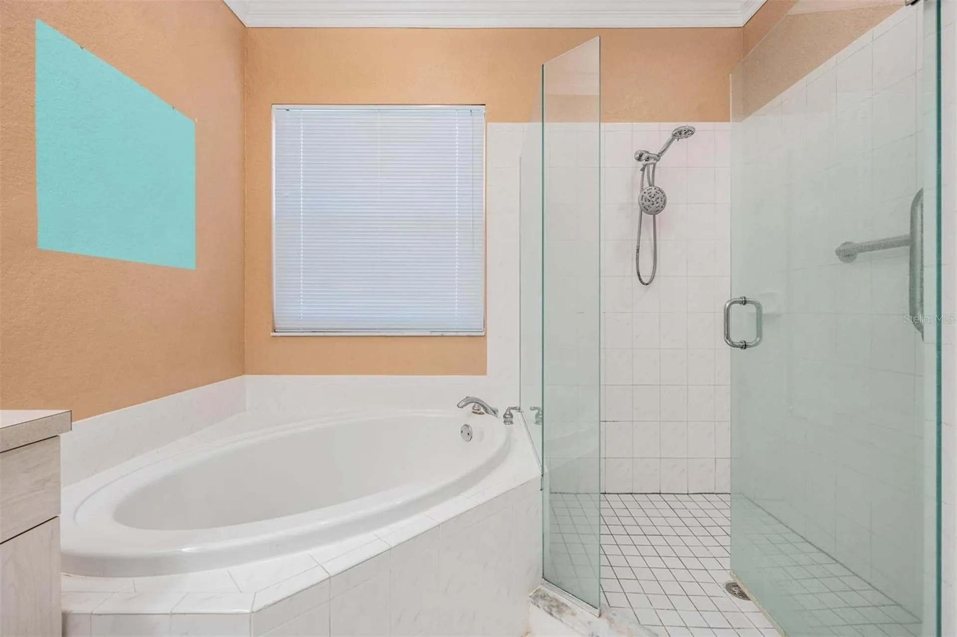 3494 Primrose Way Palm Harbor FL 34683
