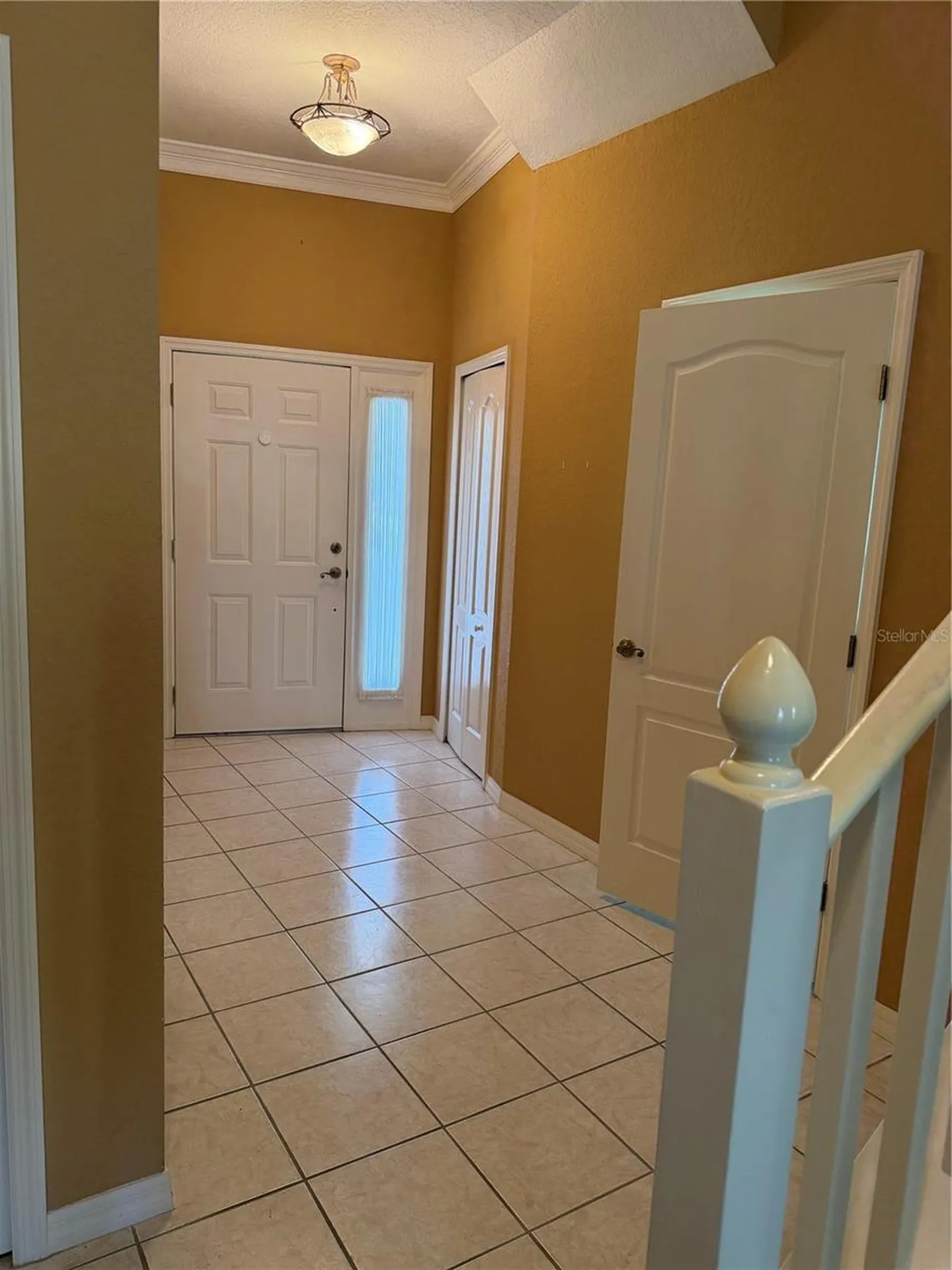 3494 Primrose Way Palm Harbor FL 34683