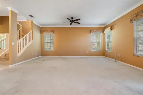 3494 Primrose Way Palm Harbor FL 34683