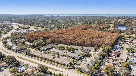 3494 Primrose Way Palm Harbor FL 34683