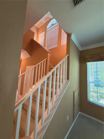 3494 Primrose Way Palm Harbor FL 34683
