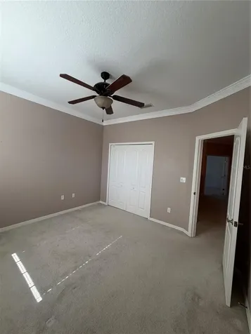 3494 Primrose Way Palm Harbor FL 34683
