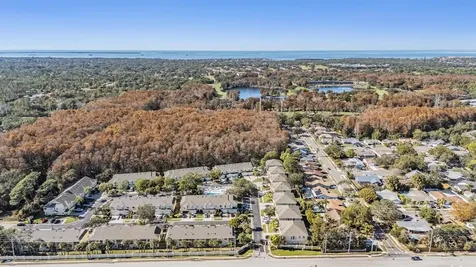 3494 Primrose Way Palm Harbor FL 34683