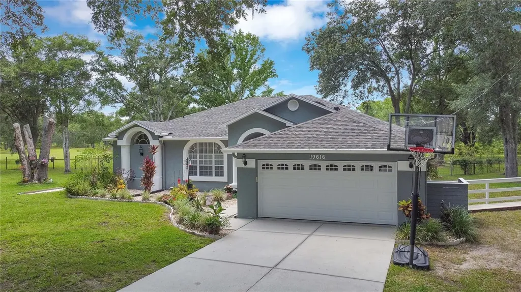 19616 Livingston Avenue Lutz FL 33559