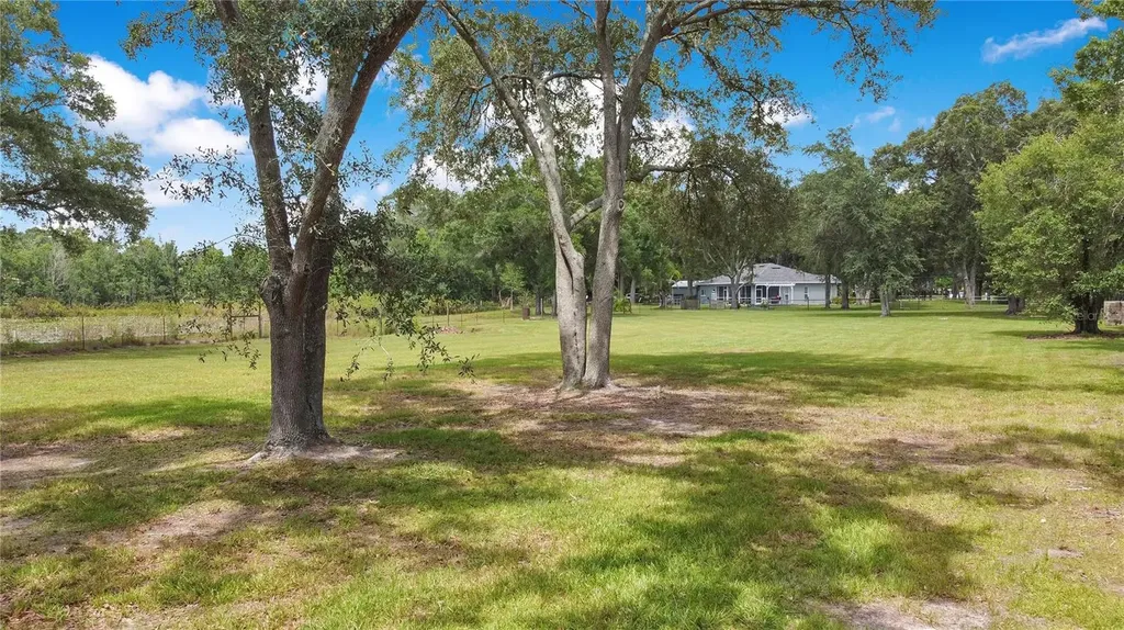 19616 Livingston Avenue Lutz FL 33559