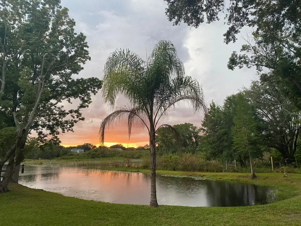 19616 Livingston Avenue Lutz FL 33559