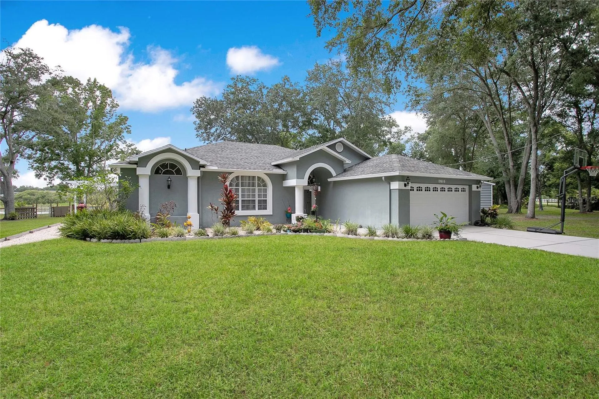 19616 Livingston Avenue Lutz FL 33559