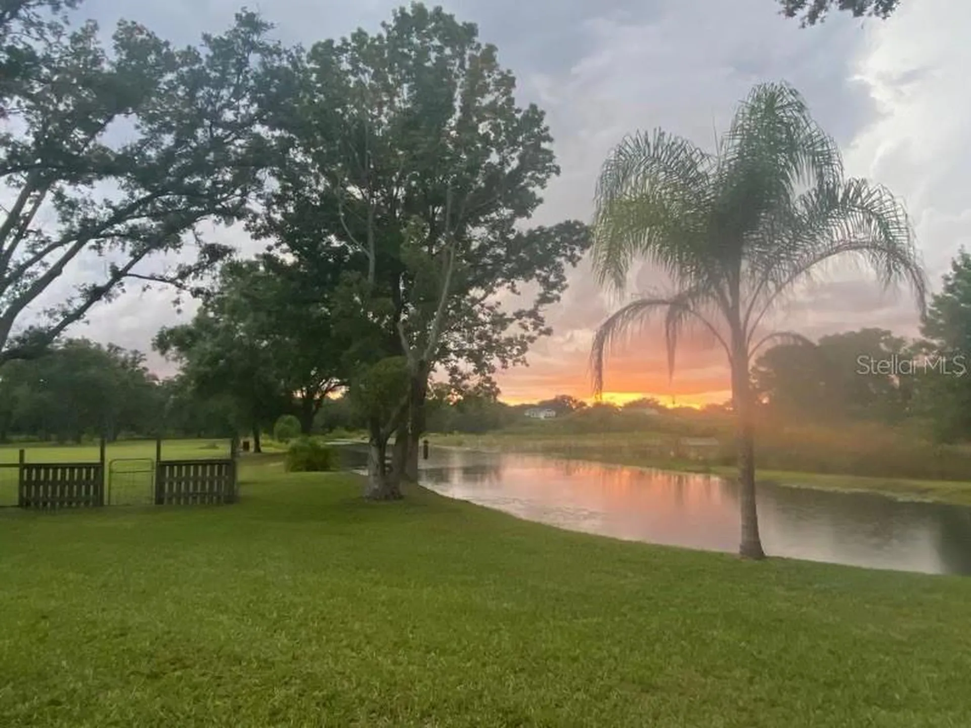 19616 Livingston Avenue Lutz FL 33559