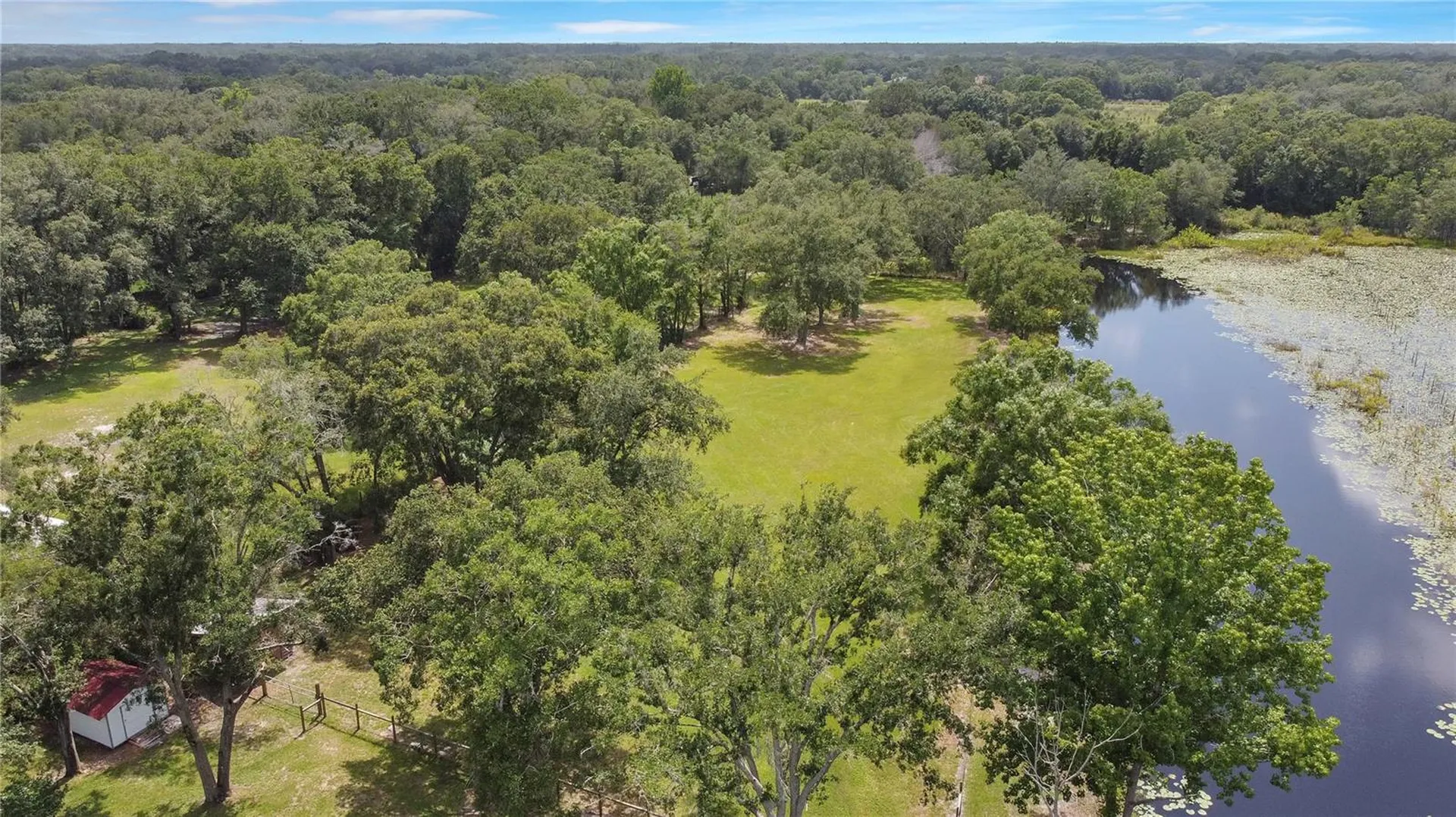 19616 Livingston Avenue Lutz FL 33559