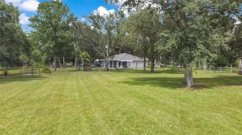 19616 Livingston Avenue Lutz FL 33559