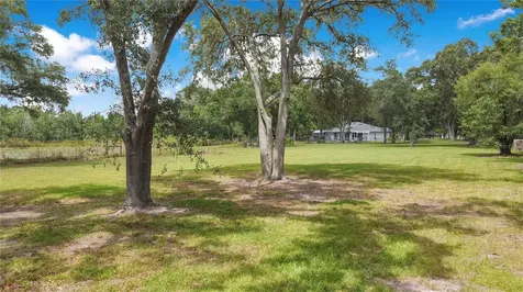 19616 Livingston Avenue Lutz FL 33559