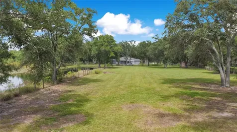 19616 Livingston Avenue Lutz FL 33559