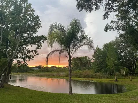 19616 Livingston Avenue Lutz FL 33559