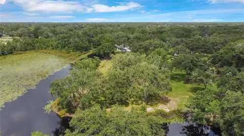 19616 Livingston Avenue Lutz FL 33559