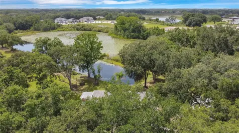 19616 Livingston Avenue Lutz FL 33559