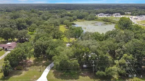 19616 Livingston Avenue Lutz FL 33559