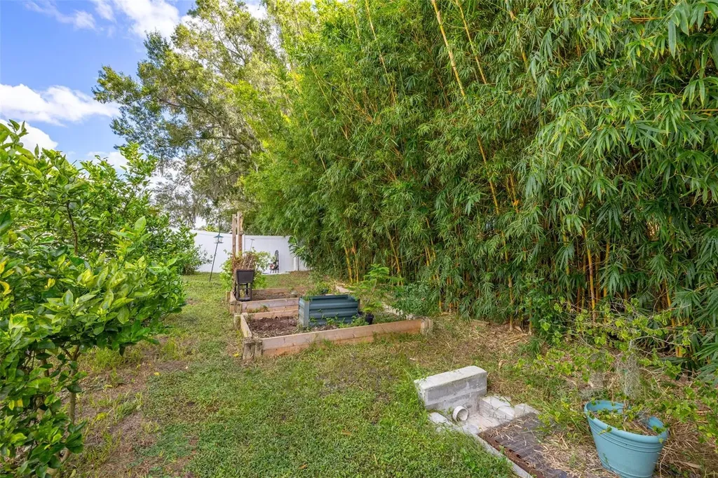 1052 Rivershore Avenue Lakeland FL 33809