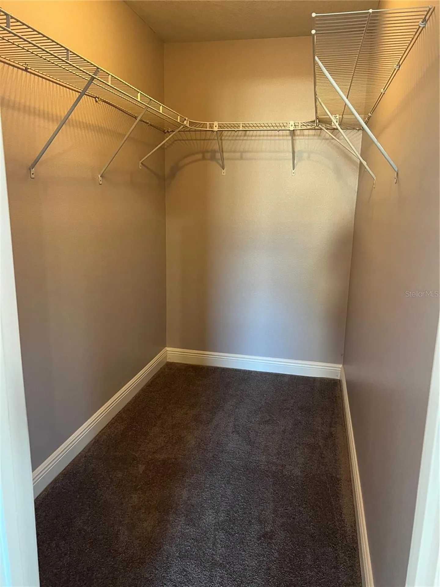 12641 Newfield Drive Orlando FL 32837