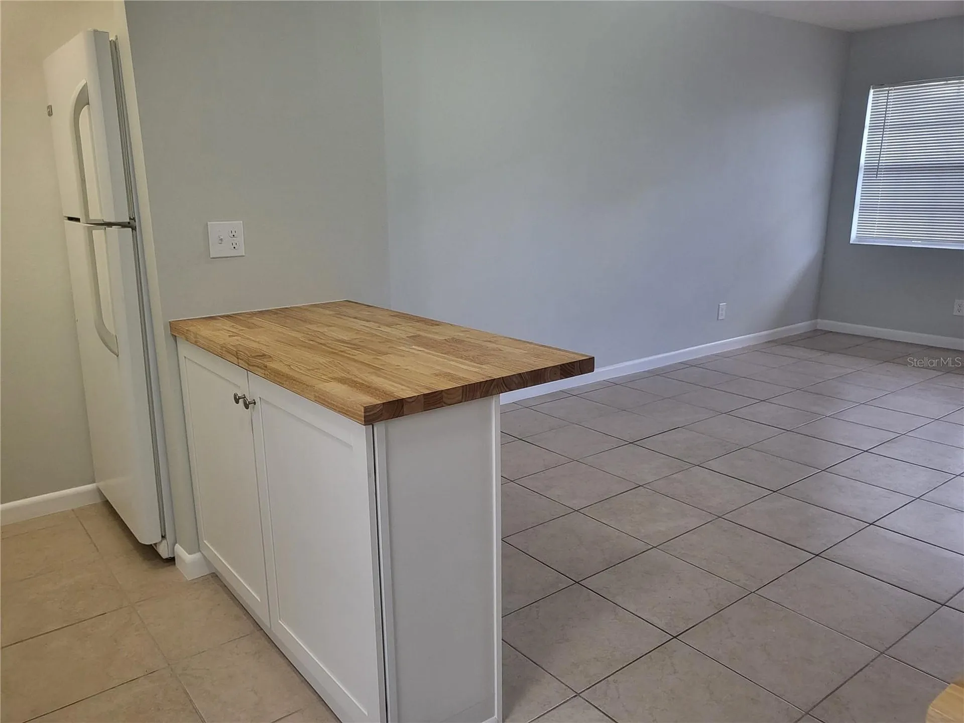 1100 E Caroline Street Tavares FL 32778