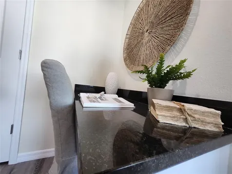 4370 Cambio Gardens Court Tampa FL 33610