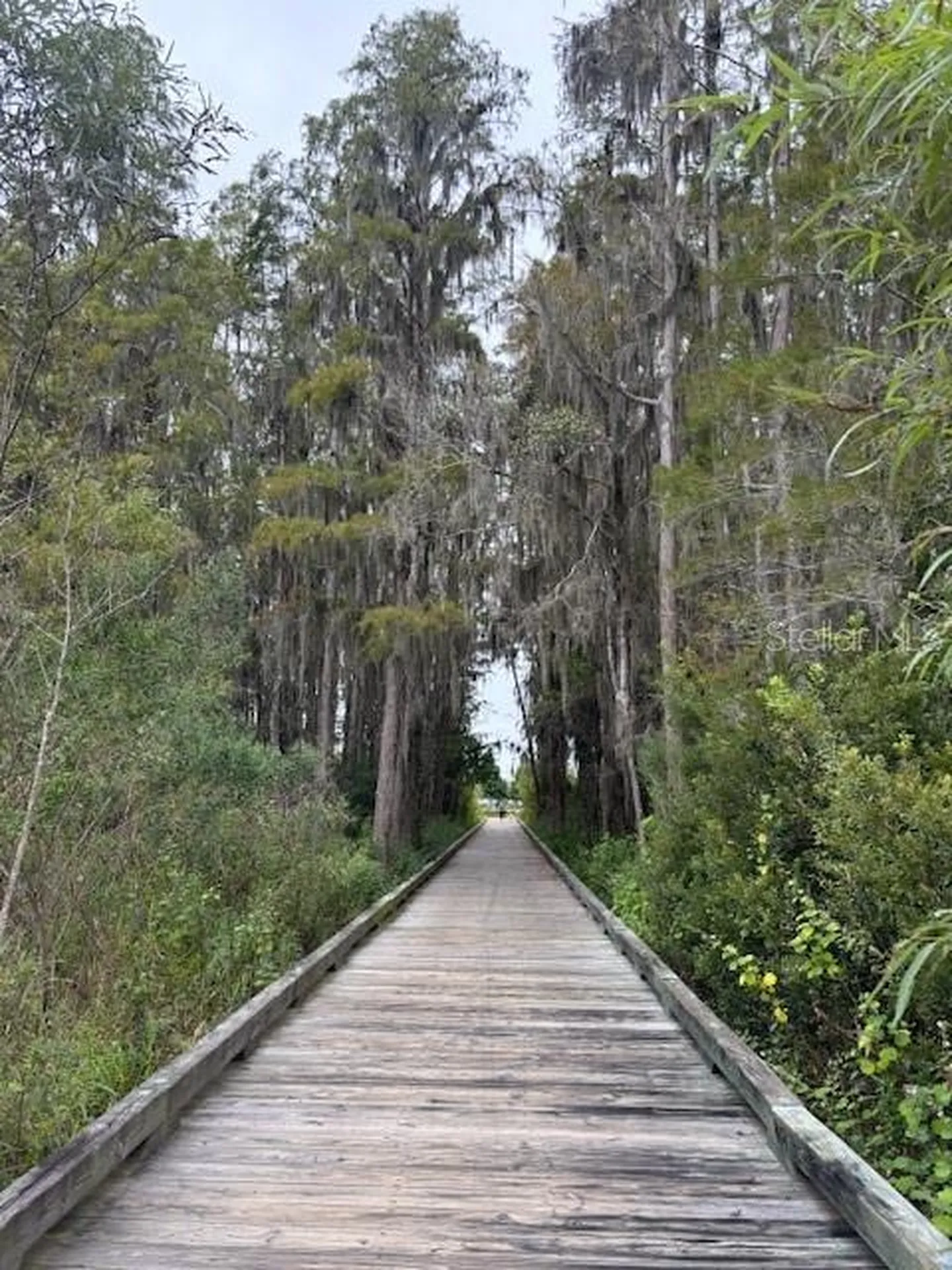 15068 Caravan Avenue Odessa FL 33556