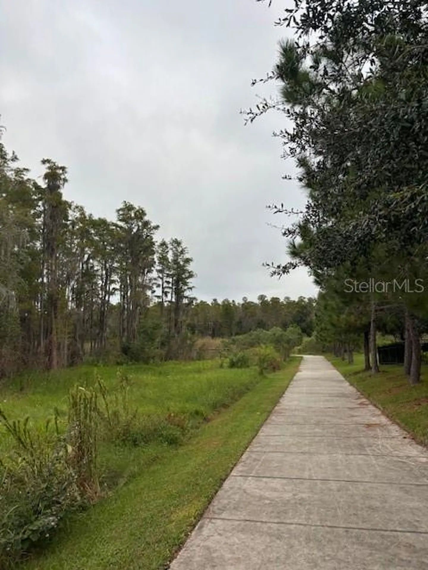 15068 Caravan Avenue Odessa FL 33556
