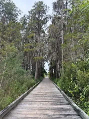 15068 Caravan Avenue Odessa FL 33556