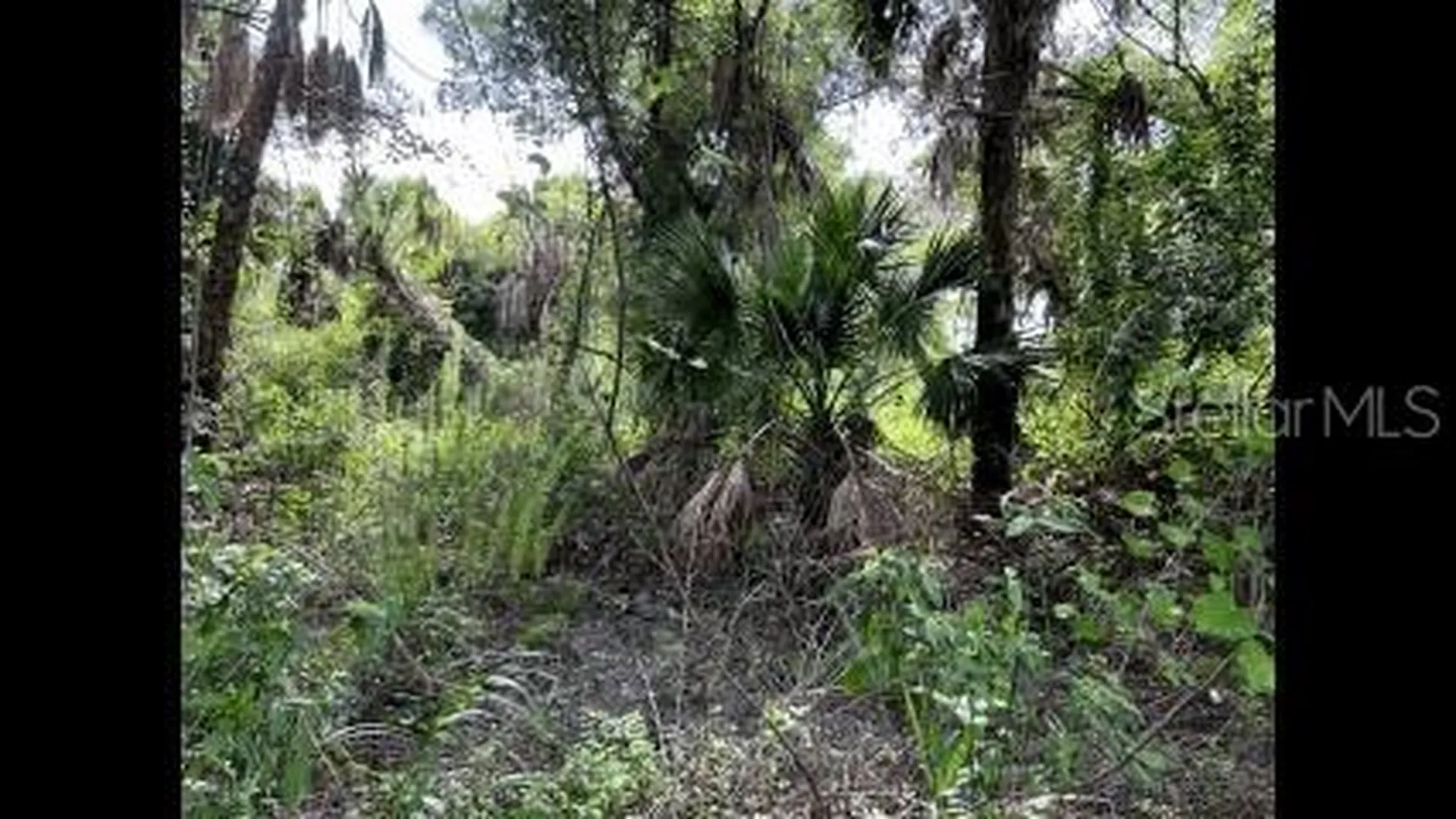 Alpen Avenue North Port FL 34291