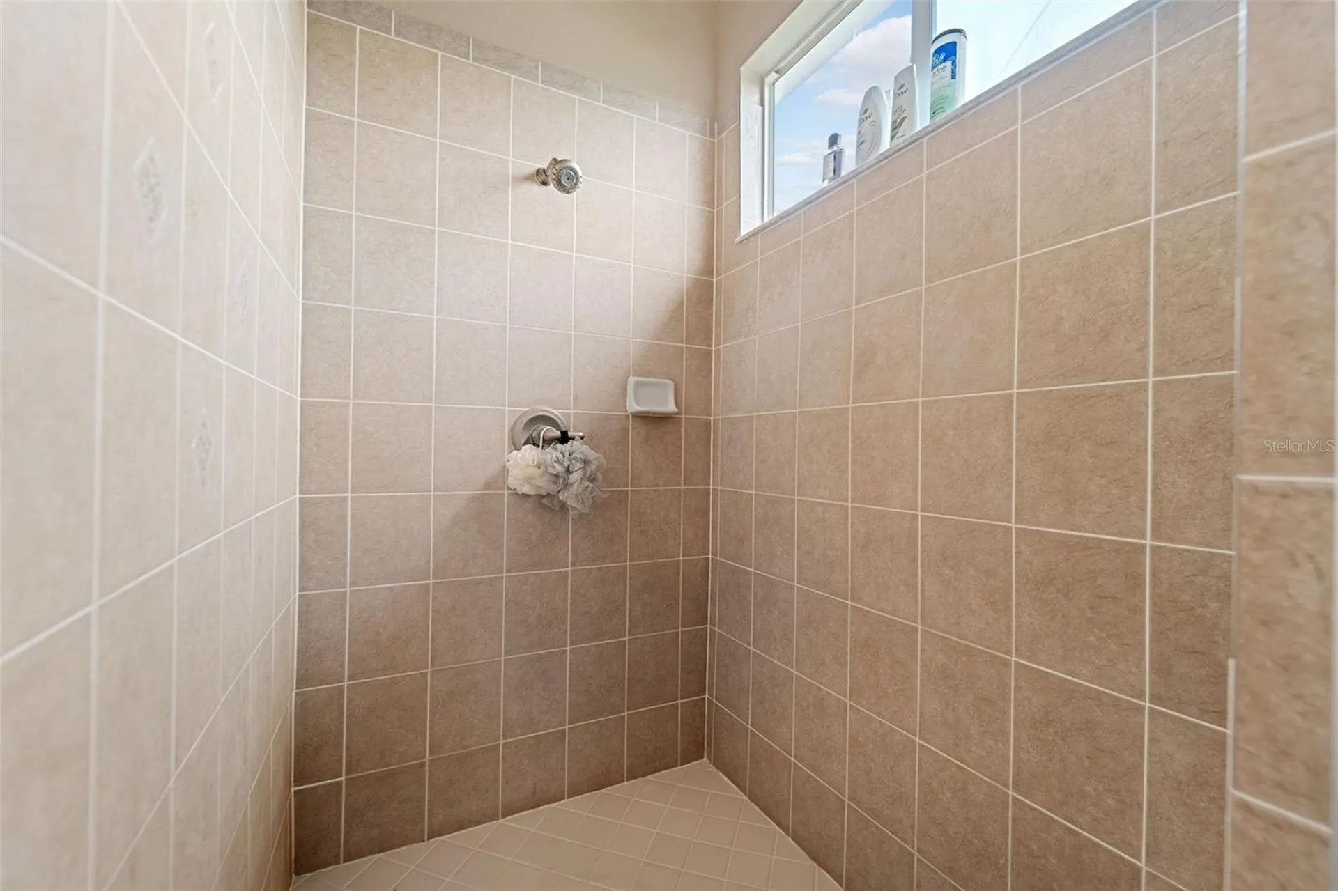 4460 Birchfield Loop Spring Hill FL 34609