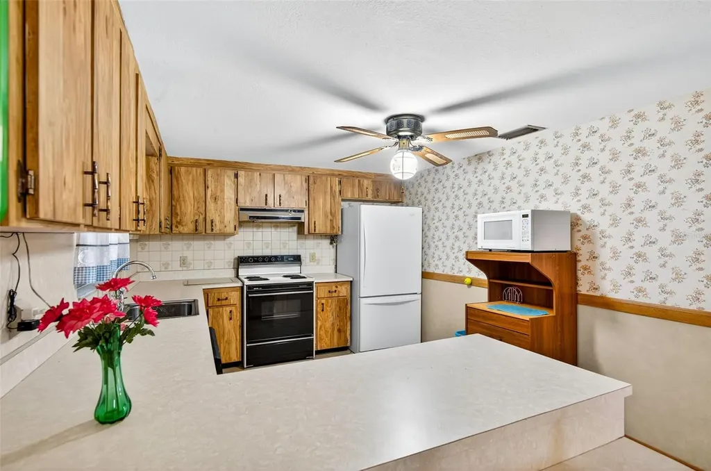 10618 Skewlee Gardens Drive Thonotosassa FL 33592