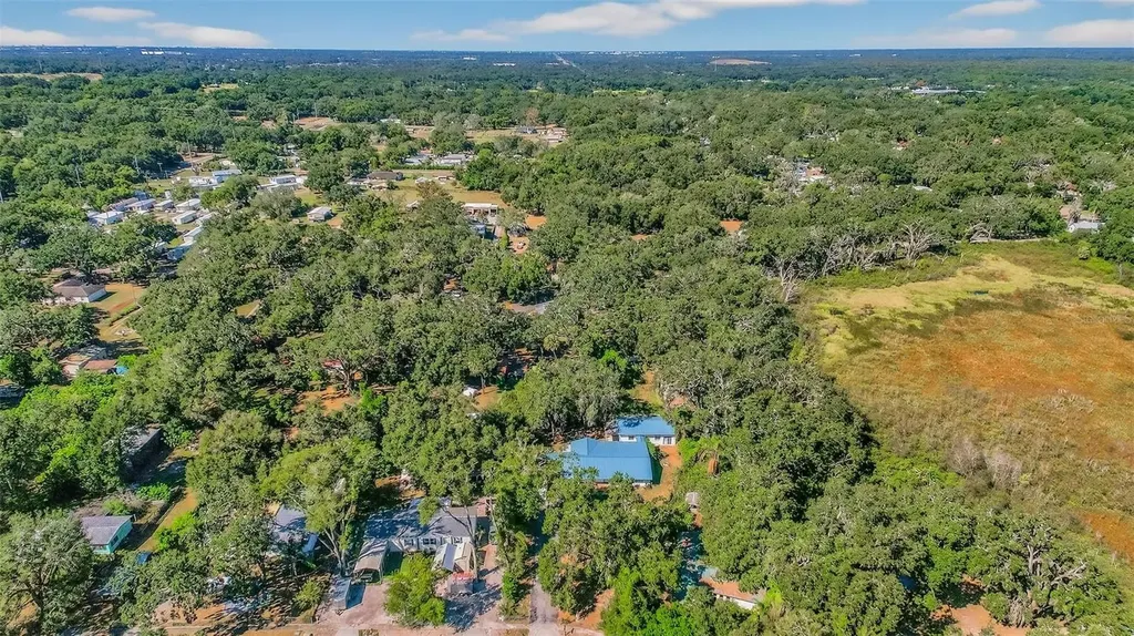 10618 Skewlee Gardens Drive Thonotosassa FL 33592