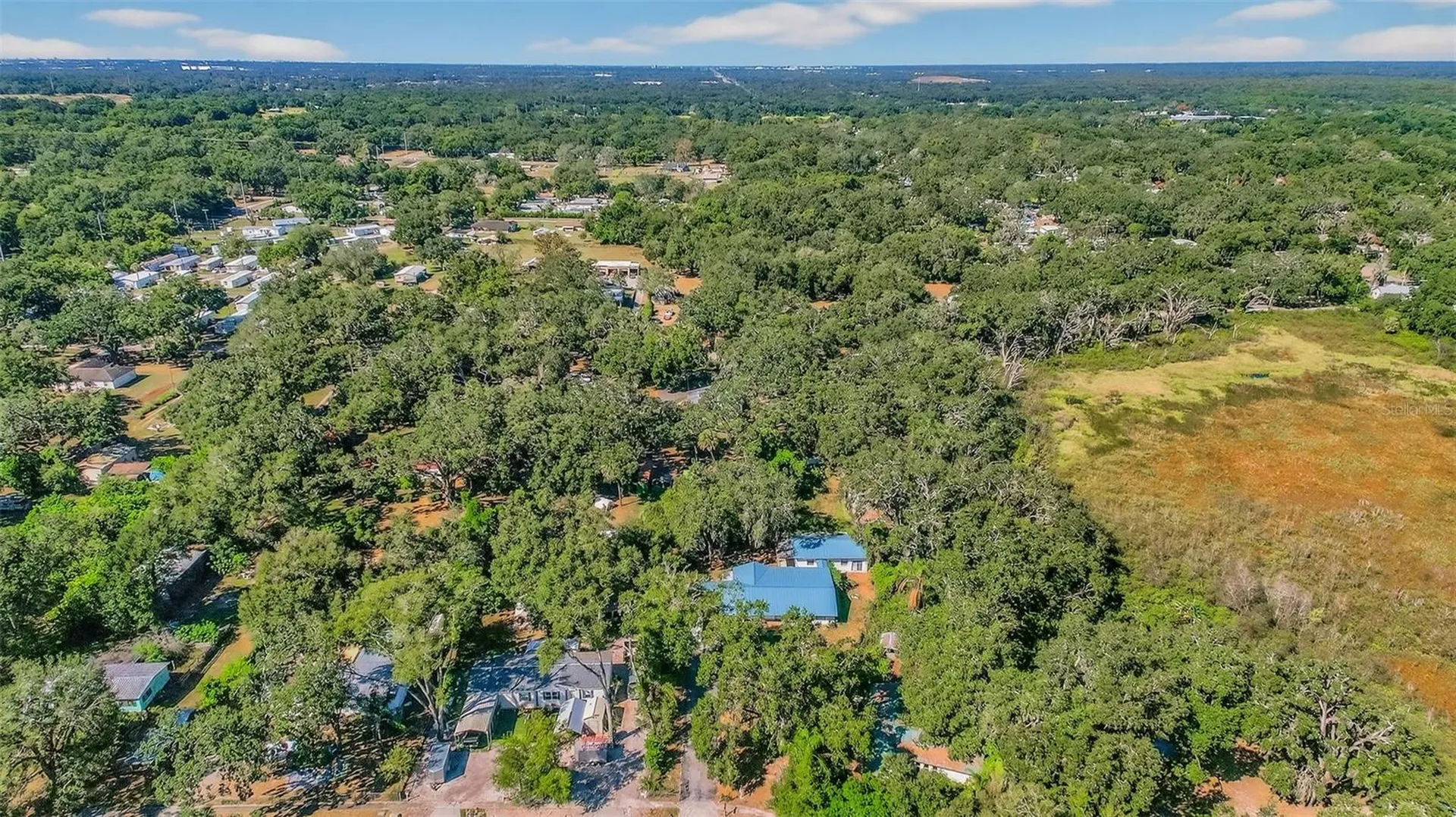 10618 Skewlee Gardens Drive Thonotosassa FL 33592