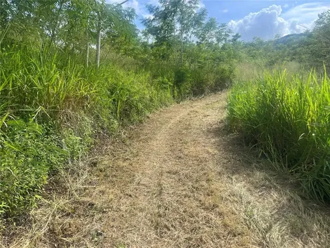 Km Hm 17.7 Carr 150 Coamo PR 00769