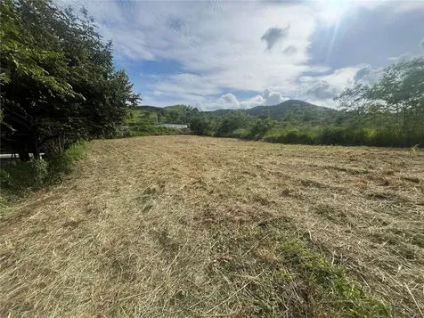 Km Hm 17.7 Carr 150 Coamo PR 00769