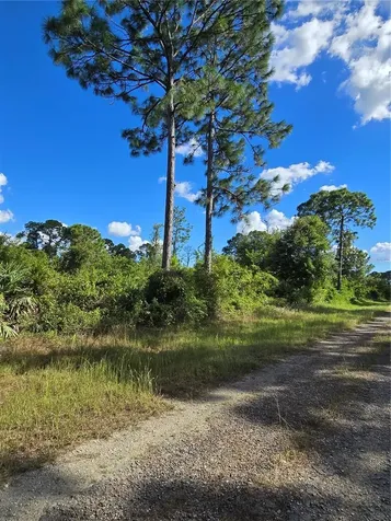 421 Wilder Avenue S Lehigh Acres FL 33974