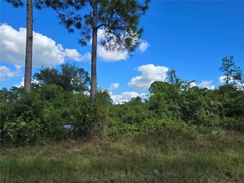 421 Wilder Avenue S Lehigh Acres FL 33974